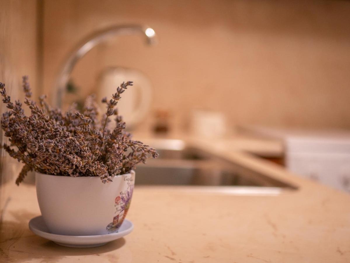 Helen - The Spartan Home Ngoại thất bức ảnh